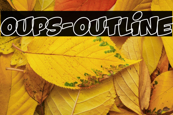 Oups-Outline Example 2