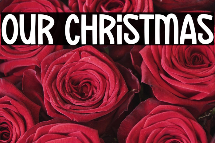 Our Christmas Example 2