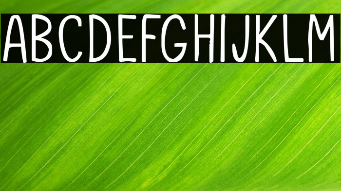 Our Daydream Example 2