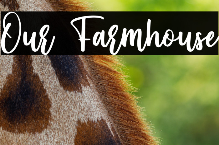 Our Farmhouse Example 2