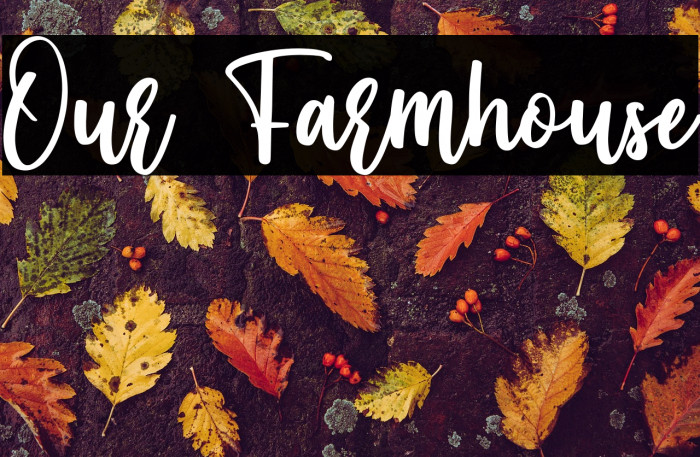 Our Farmhouse Example 3