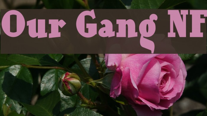 Our Gang NF Font examples