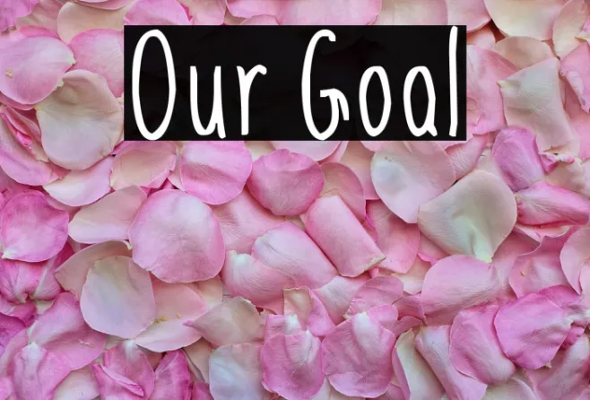 Our Goal Example 3