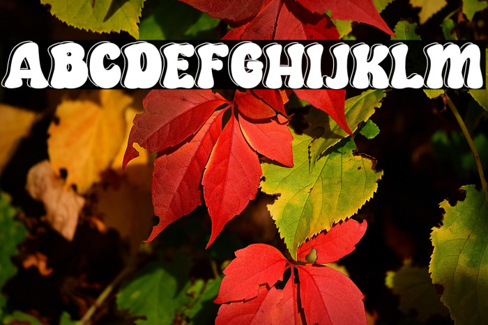 Our Grown Personal Use Example 3