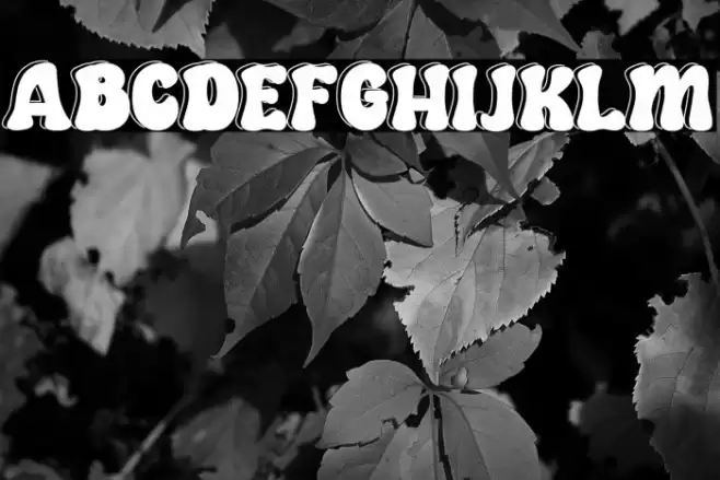 Our Grown Personal Use 字体 examples