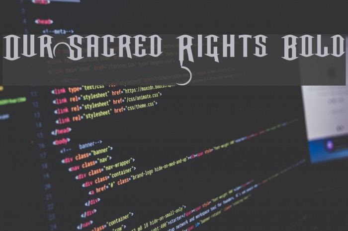 Our Sacred Rights Bold Font examples