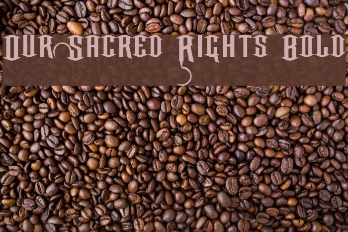 Our Sacred Rights Bold Шрифта examples