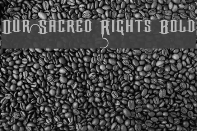 Our Sacred Rights Bold Schriftart examples