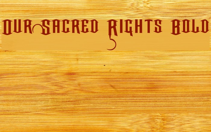 Our Sacred Rights Bold Шрифта examples