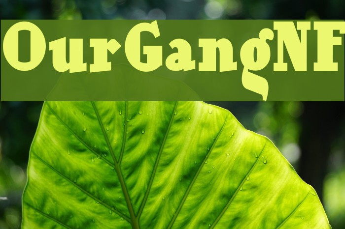 OurGangNF Font examples