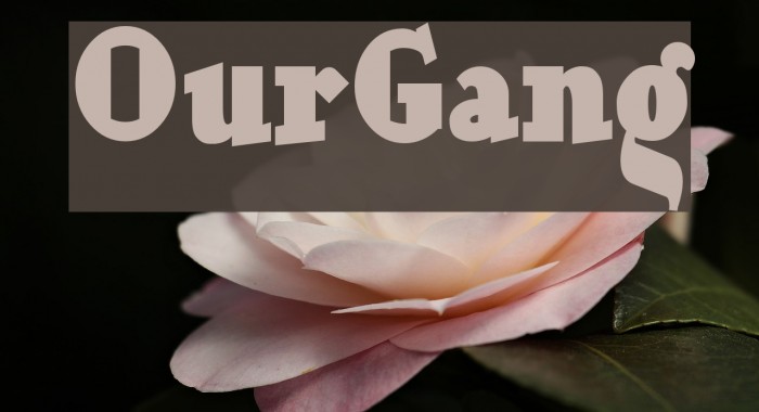 OurGang フォント examples