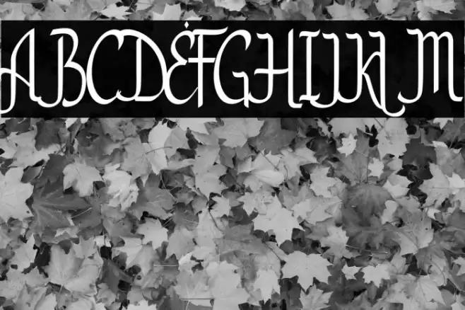 OurRamadhan-Regular フォント examples