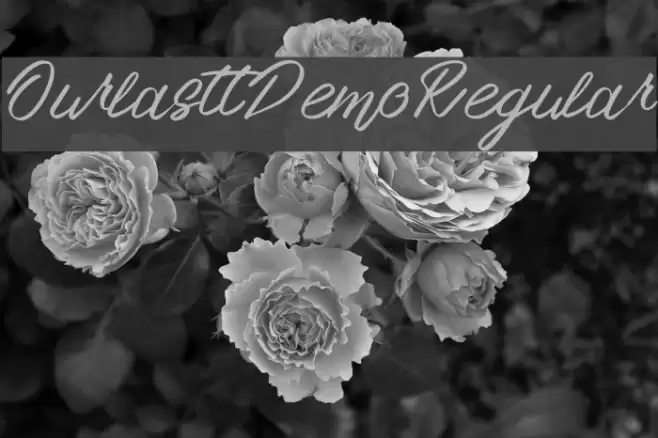 OurlasttDemoRegular Font examples