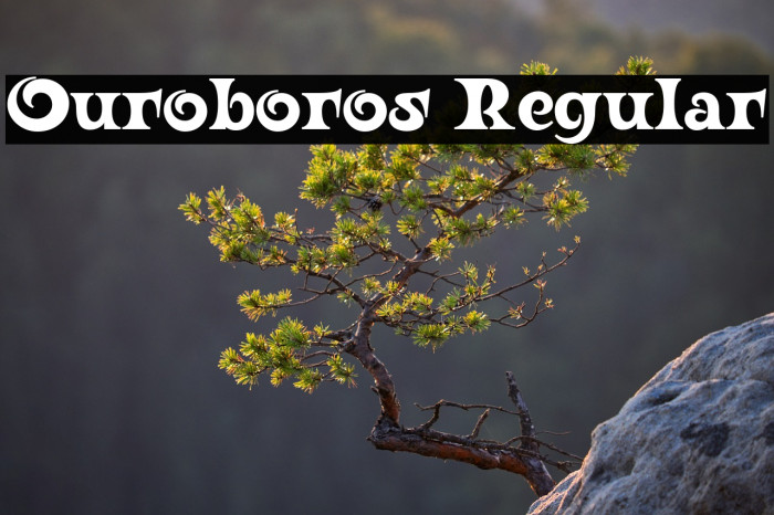 Ouroboros Regular Example 1