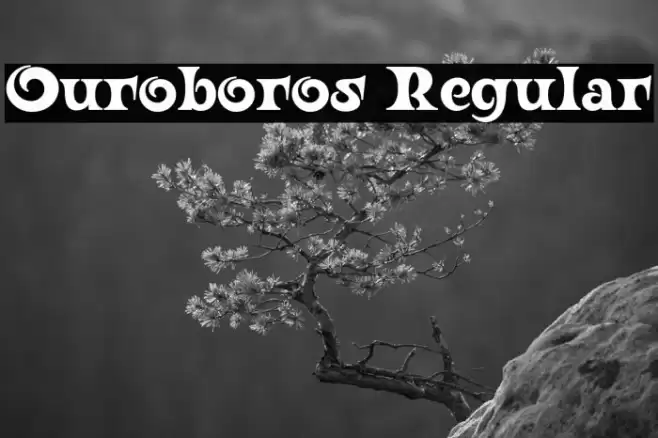 Ouroboros Regular Font examples