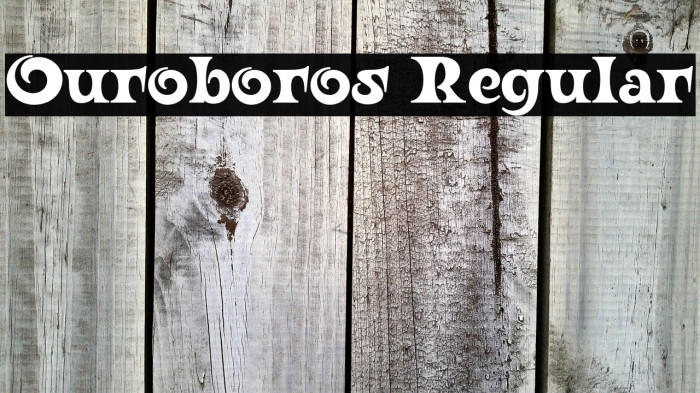 Ouroboros Regular Example 2