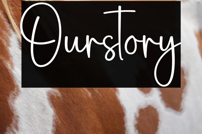 Ourstory Example 3
