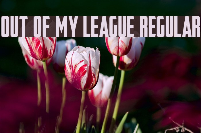 Out Of My League Regular Font examples