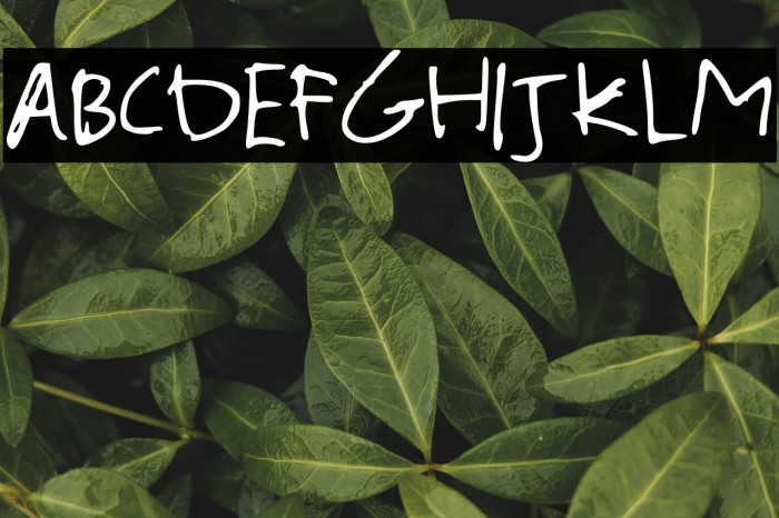 Out West Regular Example 3