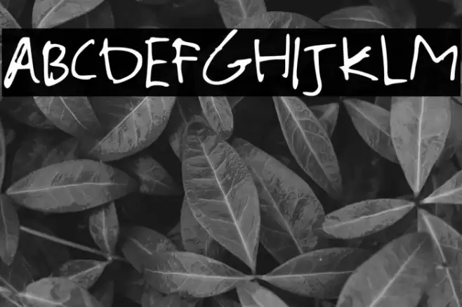 Out West Regular Font examples