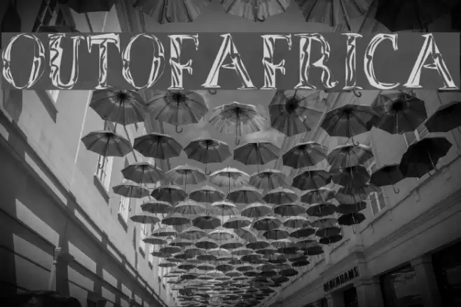 OutOfAfrica Polices examples