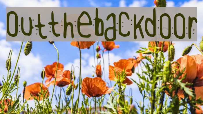 OutTheBackDoor Font examples