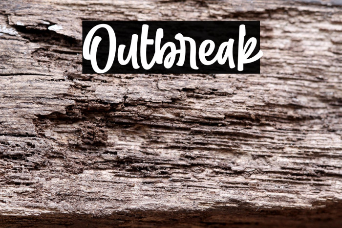 Outbreak Example 3