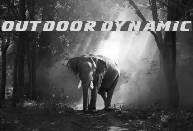 Outdoor Dynamic Font examples