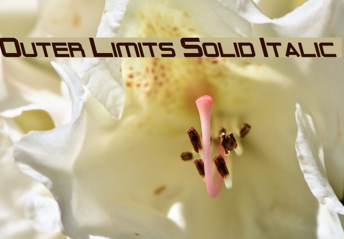 Outer Limits Solid Italic Font examples
