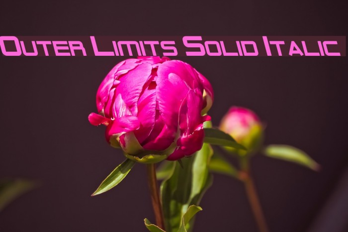Outer Limits Solid Italic Font examples