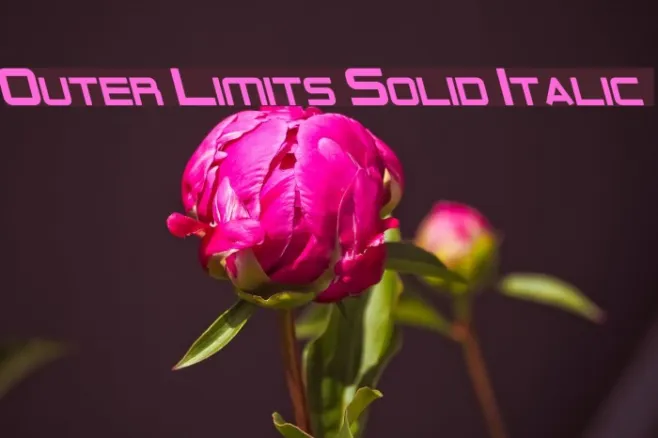 Outer Limits Solid Italic Example 3