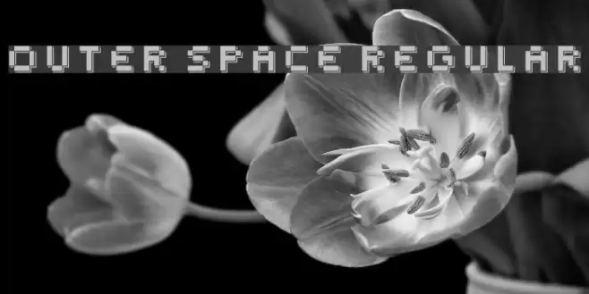Outer Space Regular Font examples