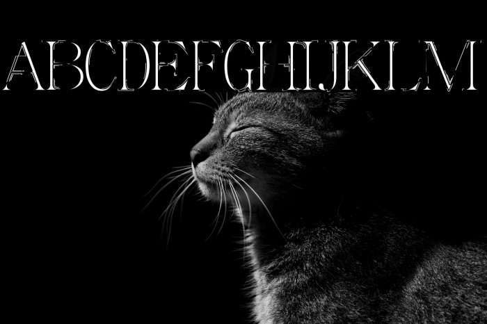 Outer Space Example 2