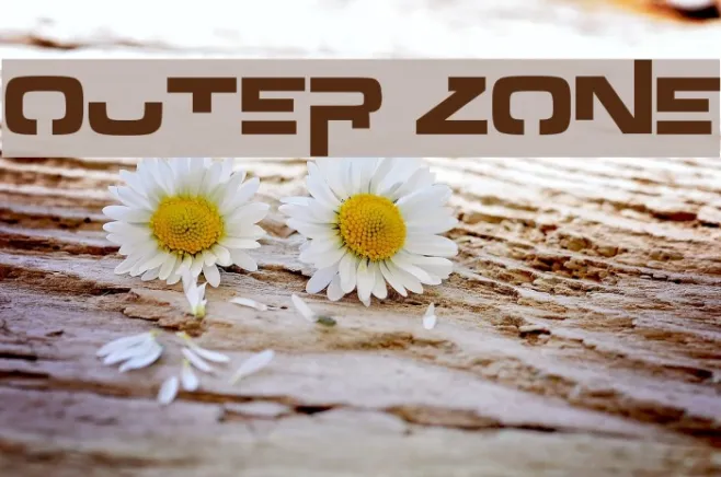 Outer zone Example 1