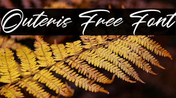 Outeris Free Font Example 3