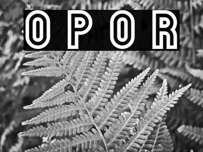 Outfield Pro Outline Regular Font examples