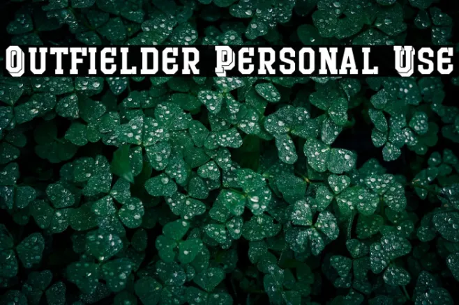 Outfielder Personal Use Example 2