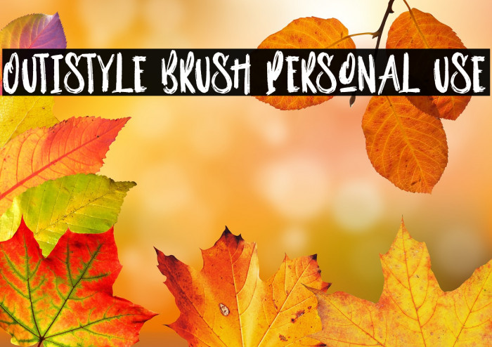 Outistyle Brush Personal Use Example 1