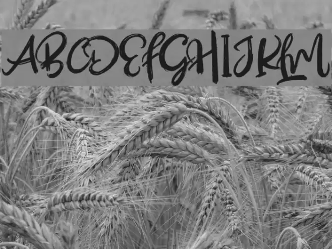 OutistyleFreePersonalUse Font examples