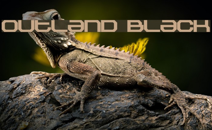 Outland Black Font examples