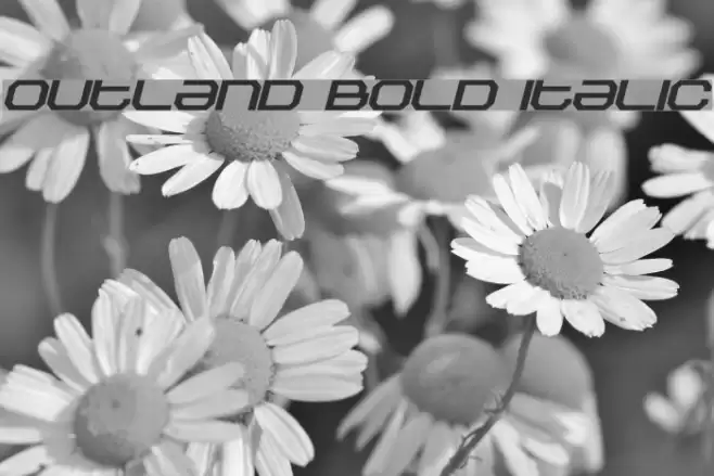 Outland Bold Italic Font examples