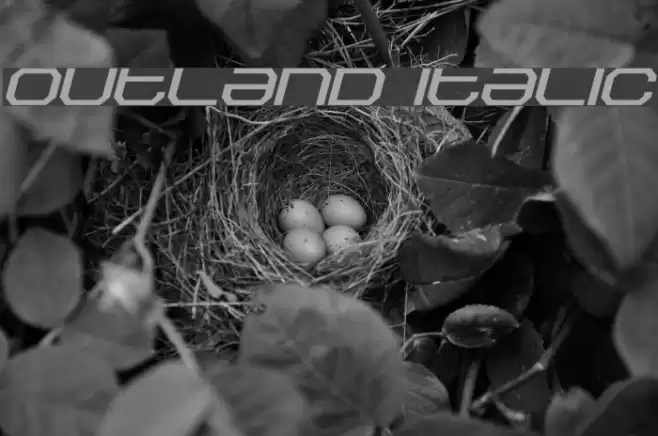 Outland Italic Font examples