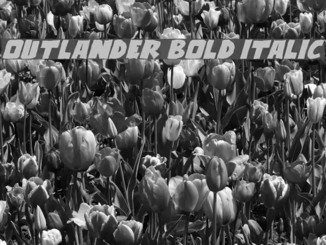 Outlander Bold Italic Font examples