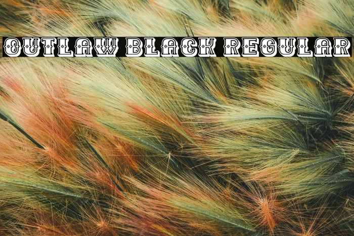 Outlaw Black Regular Example 2