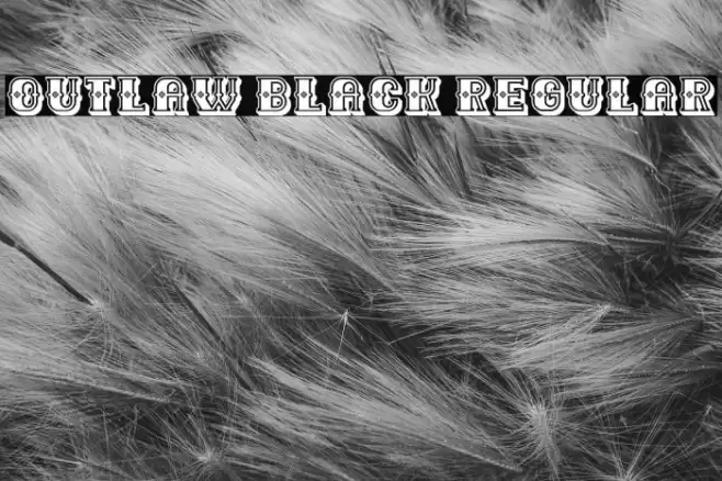 Outlaw Black Regular Font examples