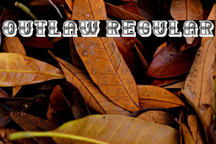Outlaw Regular Example 3