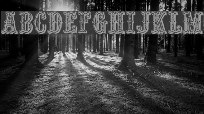 Outlaw Font examples