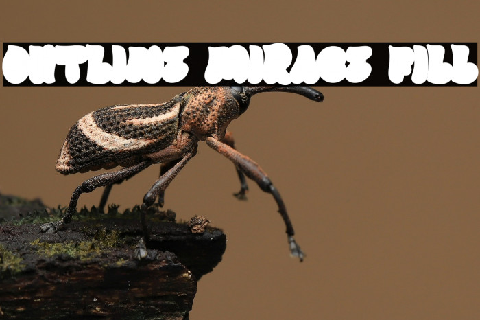 Outline Mirage Fill Font examples