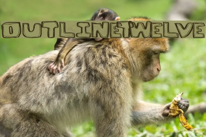 OutlineTwelve Example 3