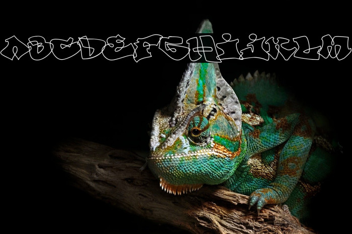 OutlinerRegular Font examples